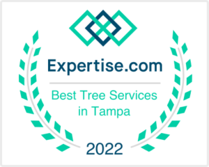 Voted Best Tree Service in Tampa in 2022
