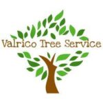 Valrico Tree Services logo